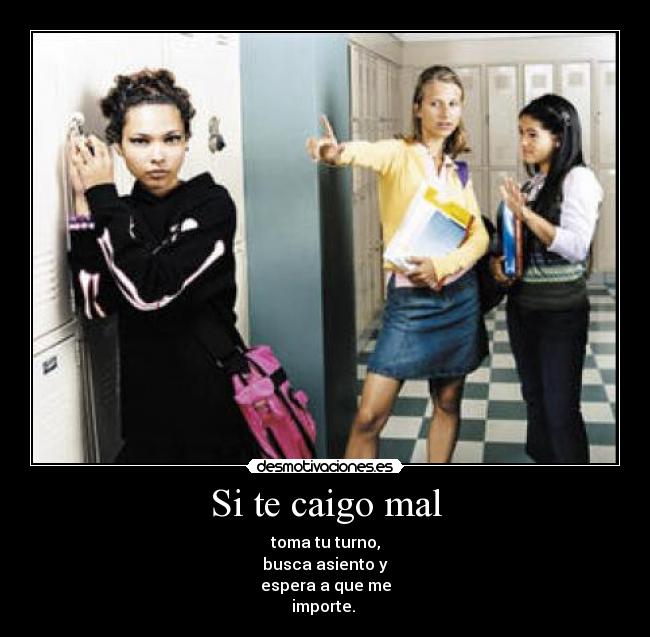 Si te caigo mal -