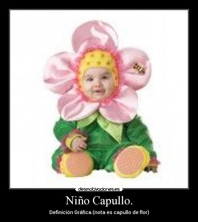 Niño Capullo. -
