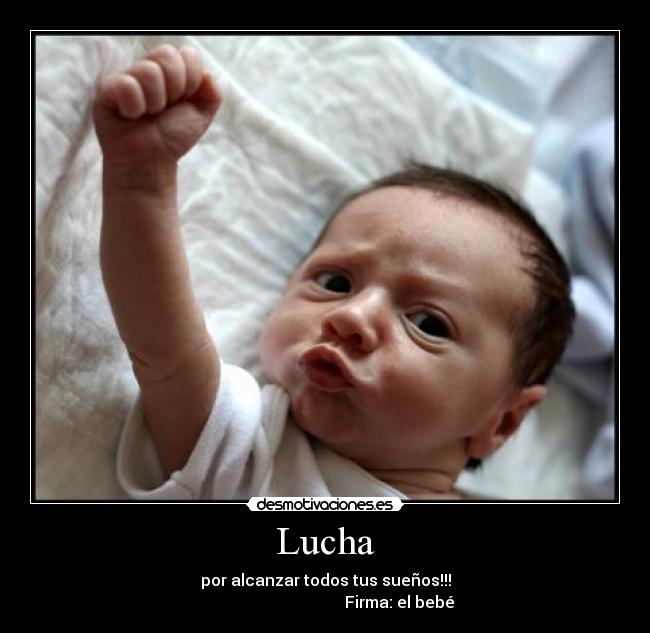 Lucha -
