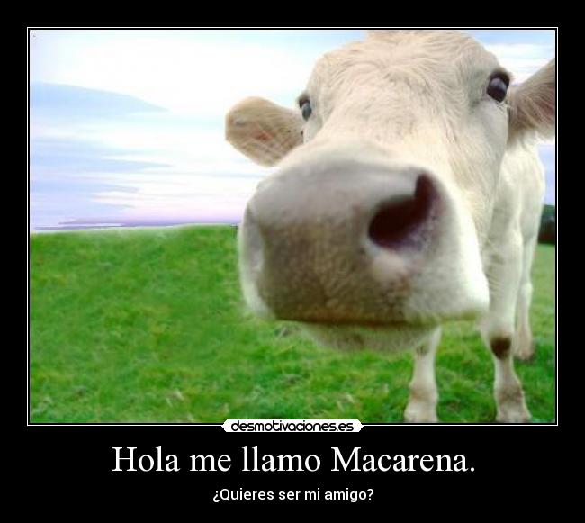 Hola me llamo Macarena. -