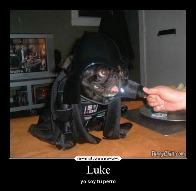 Luke -