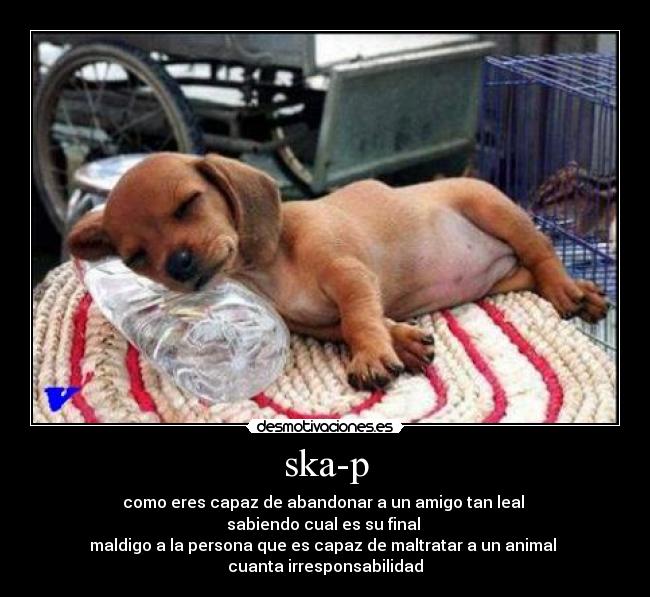 ska-p - como eres capaz de abandonar a un amigo tan leal
sabiendo cual es su final
maldigo a la persona que es capaz de maltratar a un animal
cuanta irresponsabilidad