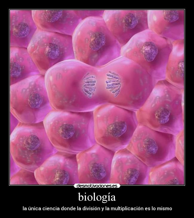 biología - la única ciencia donde la división y la multiplicación es lo mismo