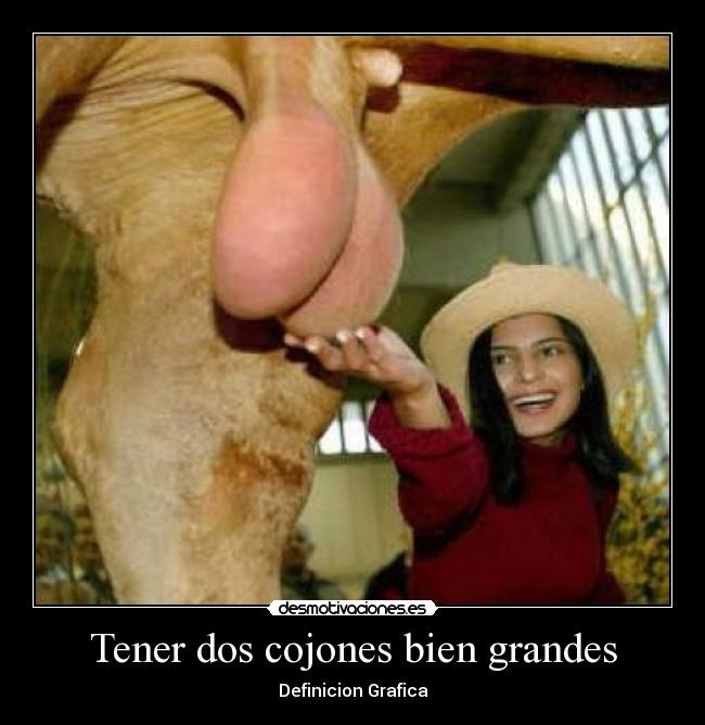 Tener dos cojones bien grandes - Definicion Grafica