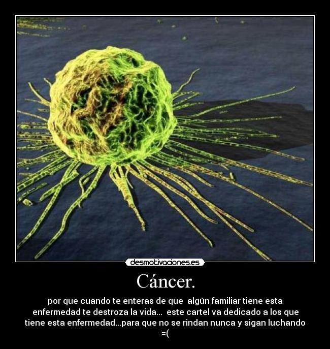Cáncer. - por que cuando te enteras de que algún familiar tiene esta
enfermedad te destroza la vida... este cartel va dedicado a los que
tiene esta enfermedad...para que no se rindan nunca y sigan luchando
=(