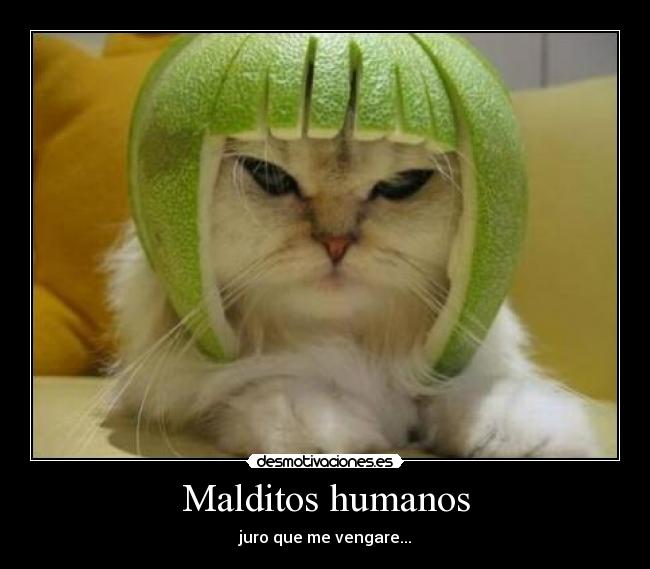 Malditos humanos - 