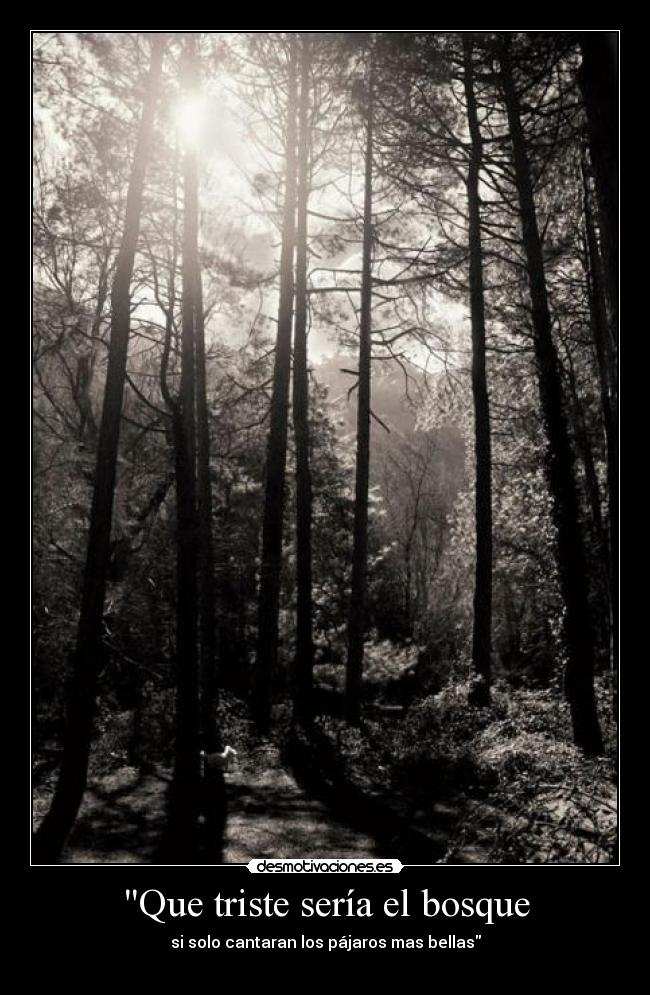 Que triste sería el bosque - 