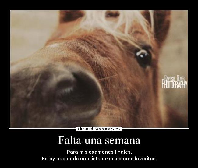 Falta una semana - 