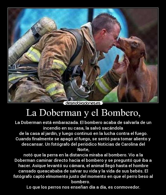 La Doberman y el Bombero, - 