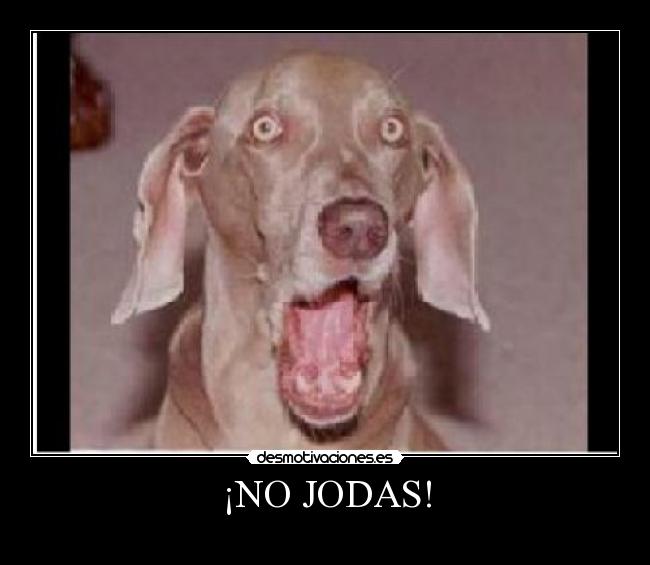 ¡NO JODAS! - 