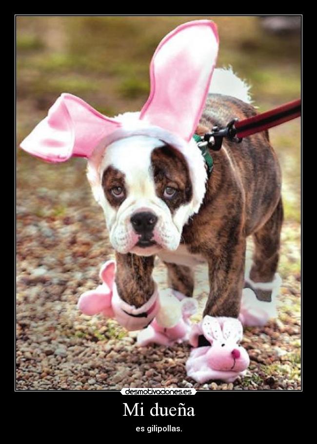 Mi dueña -