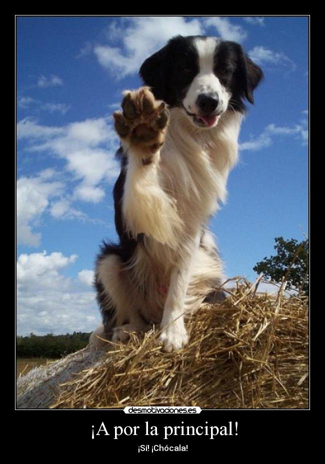 ¡A por la principal! -