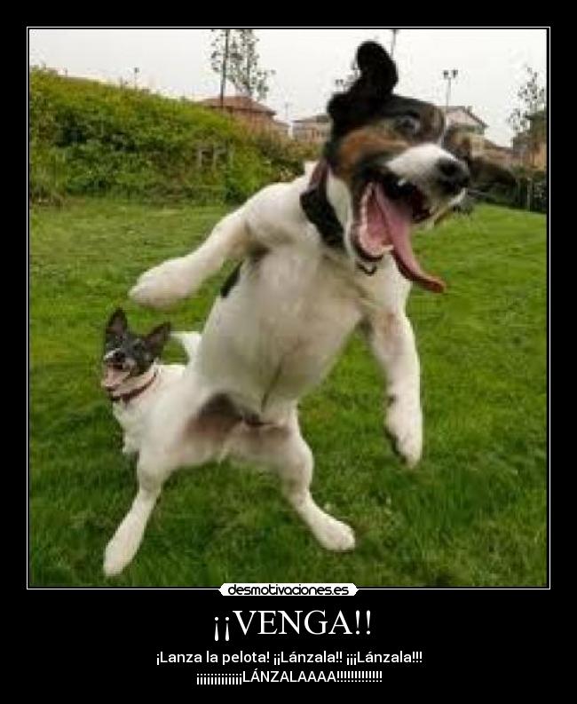 ¡¡VENGA!! -