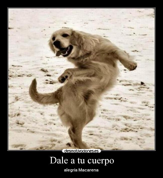carteles desmotivaciones