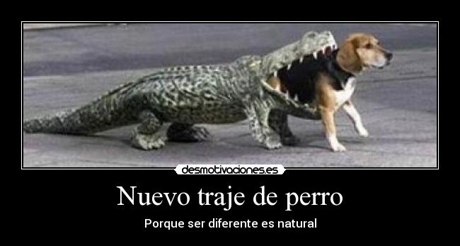 Nuevo traje de perro - Porque ser diferente es natural