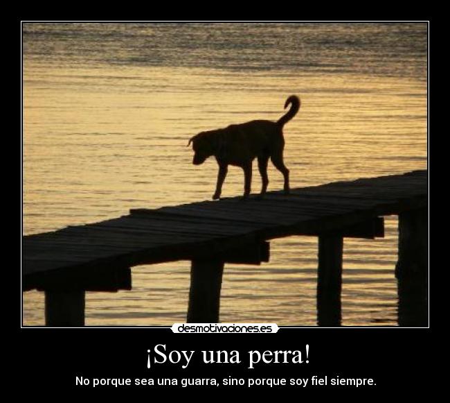 ¡Soy una perra! - No porque sea una guarra, sino porque soy fiel siempre.