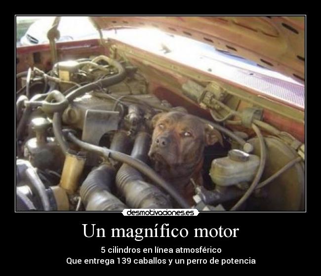 Un magnífico motor - 5 cilindros en línea atmosférico
Que entrega 139 caballos y un perro de potencia