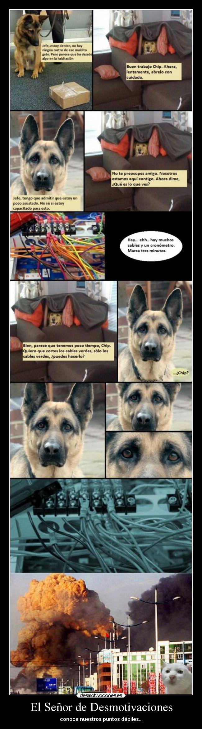 El Señor de Desmotivaciones -