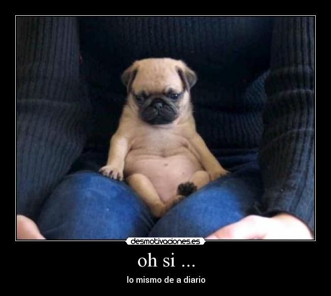 oh si ... - lo mismo de a diario