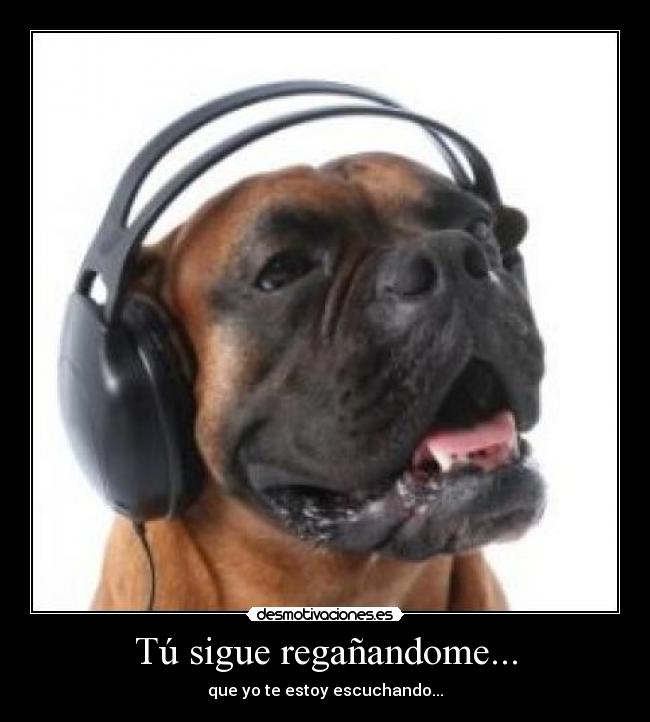 Tú sigue regañandome... -