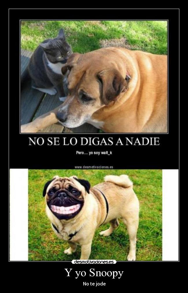 Y yo Snoopy - No te jode