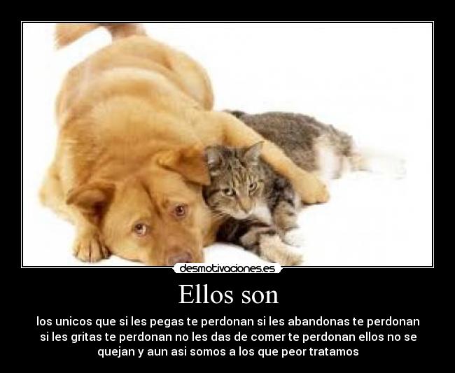 Ellos son -