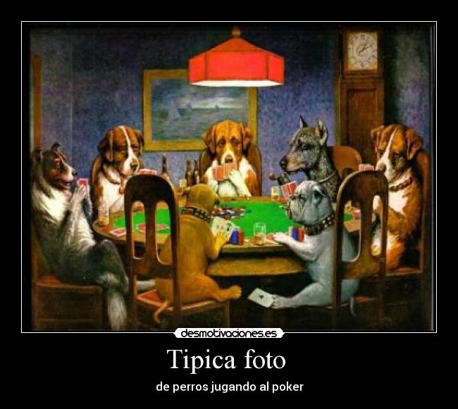Tipica foto  - 