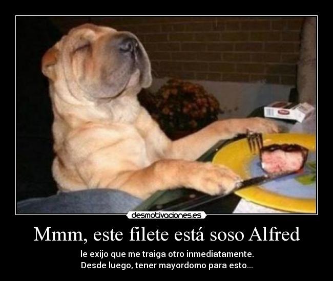 Mmm, este filete está soso Alfred - le exijo que me traiga otro inmediatamente.
Desde luego, tener mayordomo para esto...