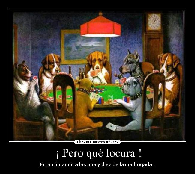 ¡ Pero qué locura ! -