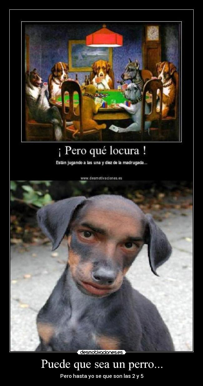 Puede que sea un perro... - Pero hasta yo se que son las 2 y 5