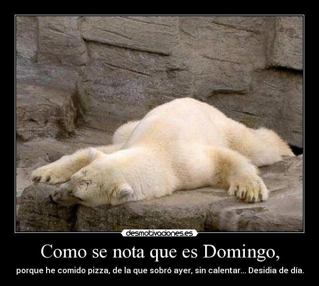 Como se nota que es Domingo, - porque he comido pizza, de la que sobró ayer, sin calentar... Desidia de día.