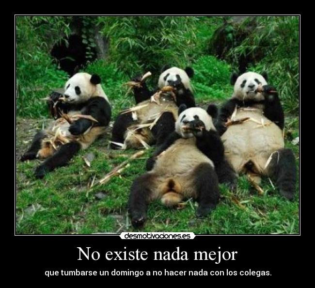 No existe nada mejor - que tumbarse un domingo a no hacer nada con los colegas.