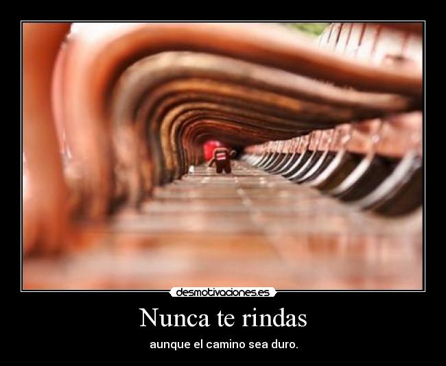 Nunca te rindas - aunque el camino sea duro.
