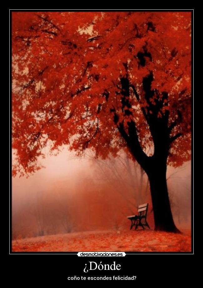 ¿Dónde - coño te escondes felicidad?