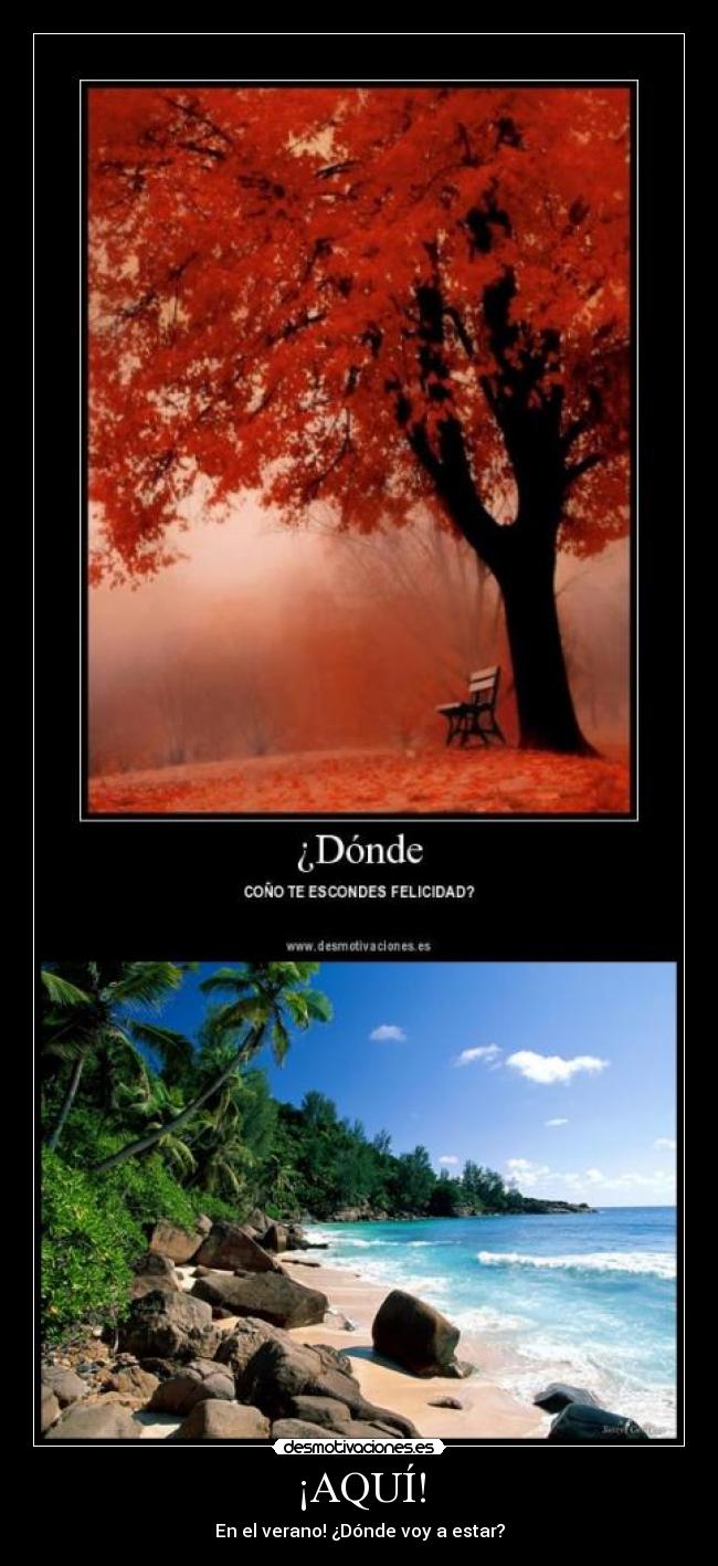 ¡AQUÍ! - En el verano! ¿Dónde voy a estar?