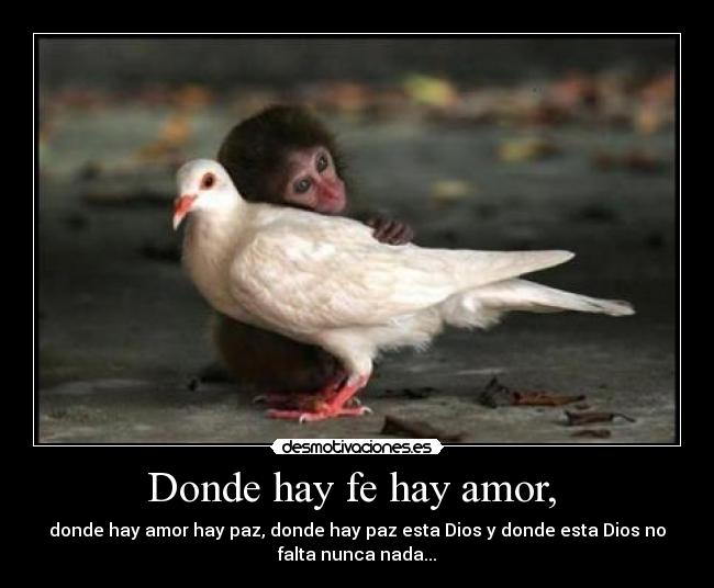 Donde hay fe hay amor, - donde hay amor hay paz, donde hay paz esta Dios y donde esta Dios no
falta nunca nada...