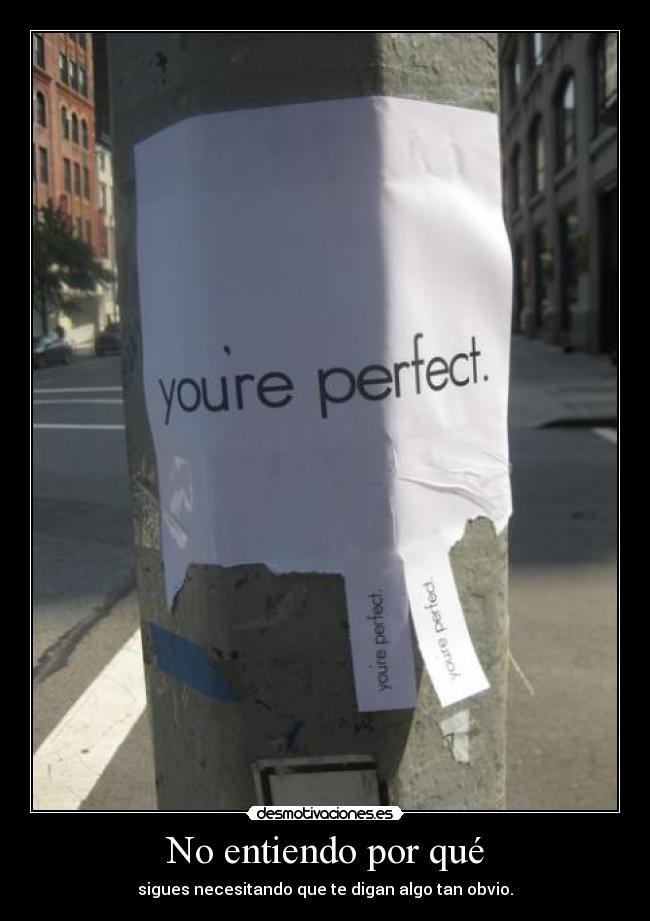 carteles perfecta genial amor amistad obvio desmotivaciones