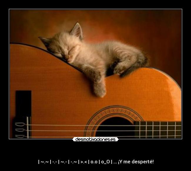 - | ~.~ | -.- | ~.- | -.~ | >.< | o.o | o_O | ... ¡Y me desperté!