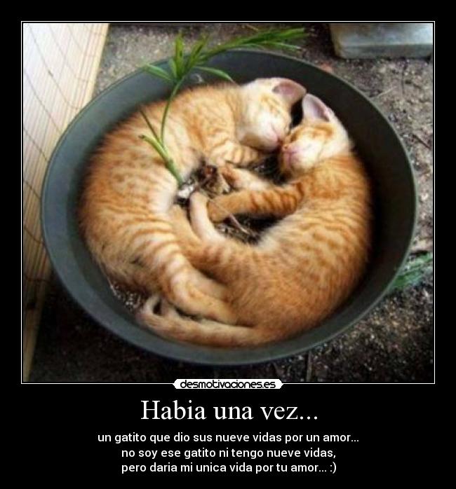 Habia una vez... -  un gatito que dio sus nueve vidas por un amor... 
no soy ese gatito ni tengo nueve vidas,
pero daria mi unica vida por tu amor... :)