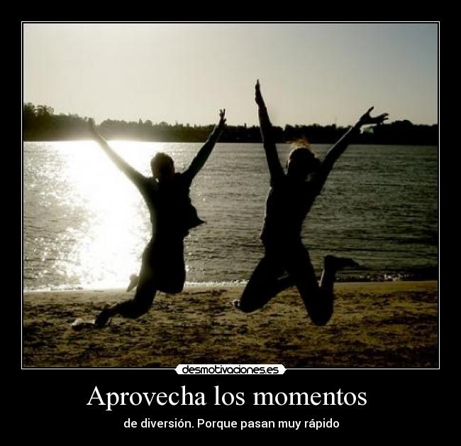 Aprovecha los momentos  - 