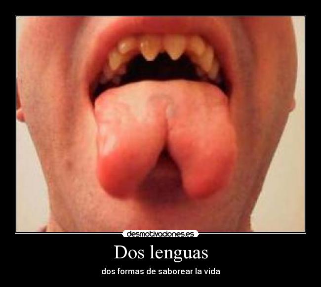 Dos lenguas -