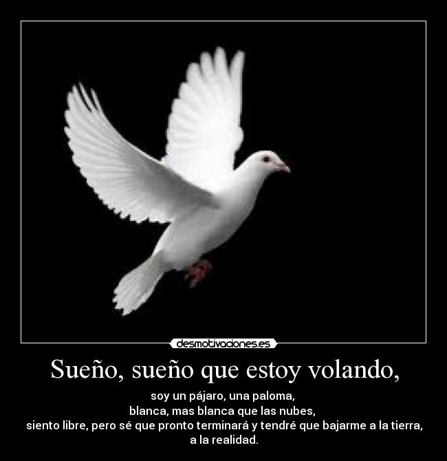 Sueño, sueño que estoy volando, - soy un pájaro, una paloma, 
blanca, mas blanca que las nubes, 
siento libre, pero sé que pronto terminará y tendré que bajarme a la tierra,
a la realidad.