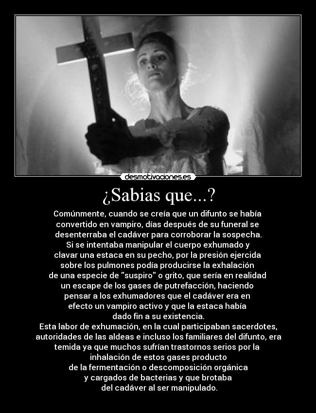 ¿Sabias que...? - 