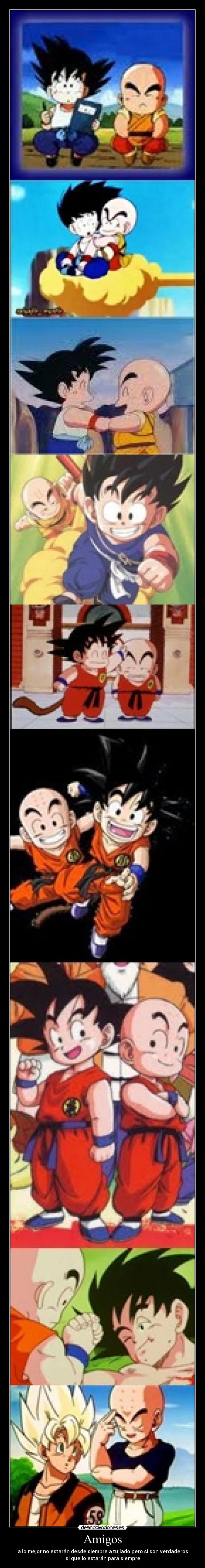 carteles amigos dragon ball amigo krillin goku desmotivaciones