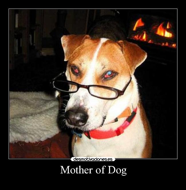 Mother of Dog -