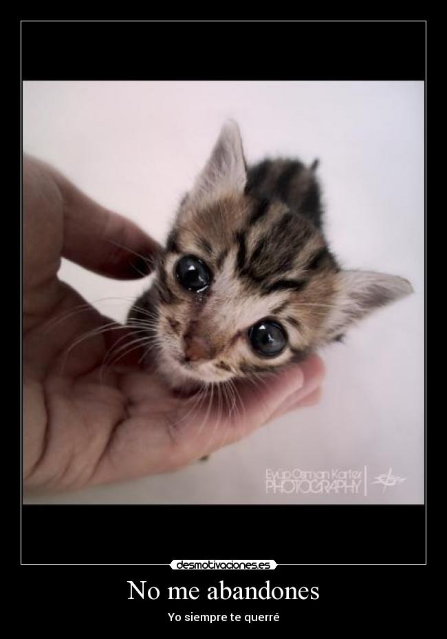 No me abandones - Yo siempre te querré