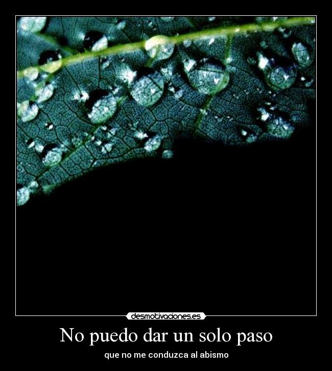 No puedo dar un solo paso - que no me conduzca al abismo