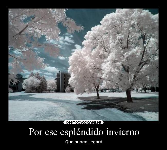 Por ese espléndido invierno - Que nunca llegará