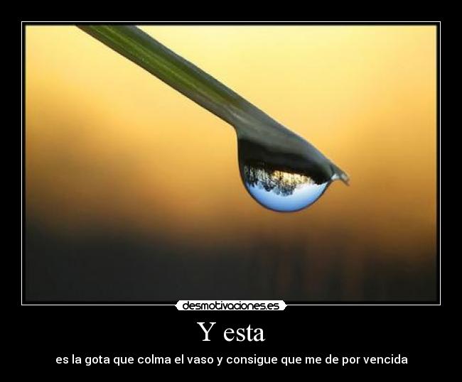 carteles evinha96 desmotivaciones