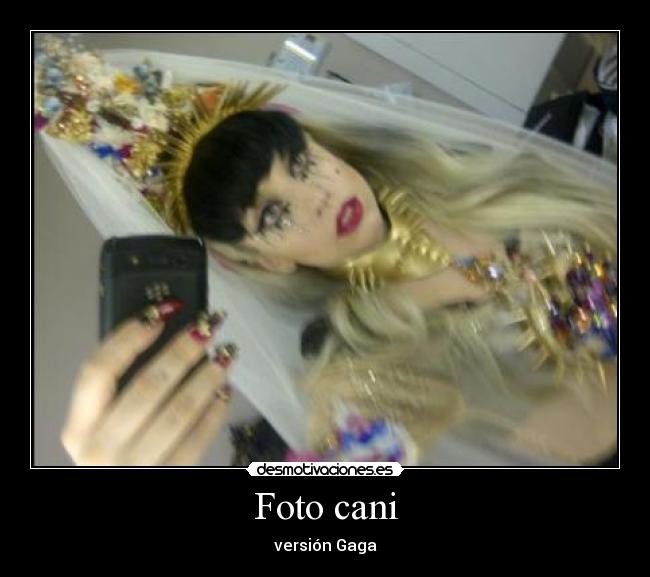 Foto cani - versión Gaga